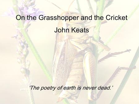 On the Grasshopper and the Cricket John Keats