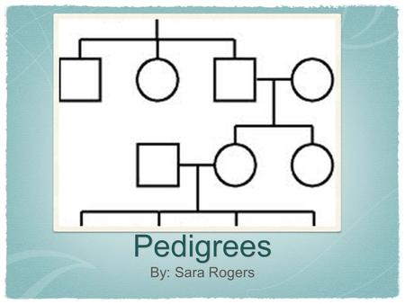 Pedigrees By: Sara Rogers. About Pedigrees Pedigrees are charts that show the occurrence of a particular gene or phenotype in a family.