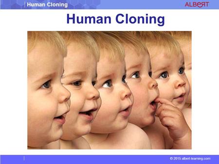 Human Cloning.