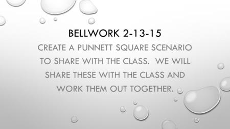BELLWORK 2-13-15 CREATE A PUNNETT SQUARE SCENARIO TO SHARE WITH THE CLASS. WE WILL SHARE THESE WITH THE CLASS AND WORK THEM OUT TOGETHER.