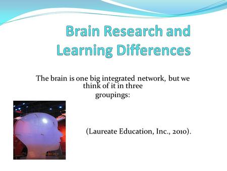 The brain is one big integrated network, but we think of it in three groupings: (Laureate Education, Inc., 2010).