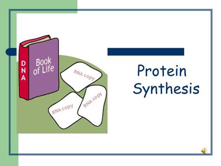 Protein Synthesis. Steps: TRANSCRIPTION DNA unwinds, RNA is made from DNA DNA acts as a template for RNA.