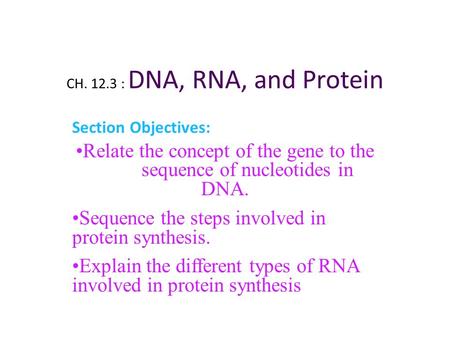 Relate the concept of the gene to the sequence of nucleotides in DNA.