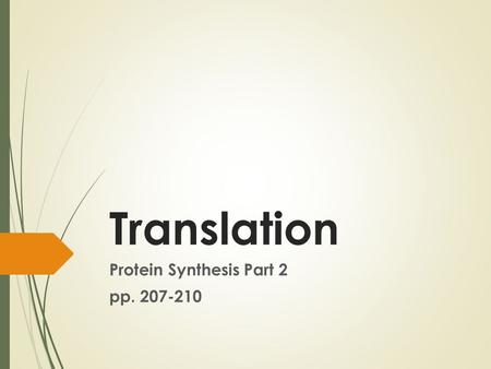 Translation Protein Synthesis Part 2 pp. 207-210.
