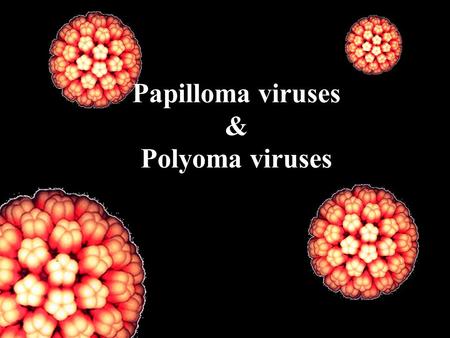 Papilloma viruses & Polyoma viruses. Human Papilloma viruses (HPV) DNA virus, double strand, circular, Icosahedral nucleocapsid, small size (45-55nm).