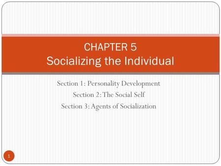 CHAPTER 5 Socializing the Individual