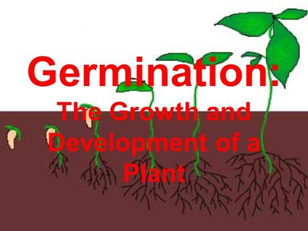 Germination: The Growth and Development of a Plant.