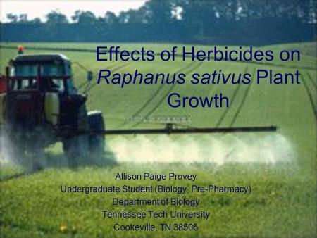 Effects of Herbicides on Raphanus sativus Plant Growth Allison Paige Provey Undergraduate Student (Biology, Pre-Pharmacy) Department of Biology Tennessee.