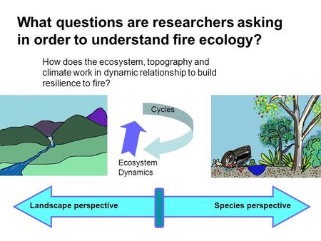 What questions are researchers asking in order to understand fire ecology? Landscape perspectiveSpecies perspective How does the ecosystem, topography.