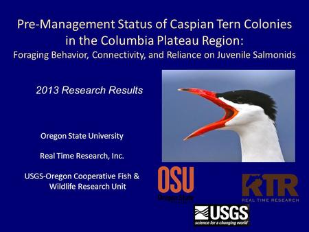 Oregon State University Real Time Research, Inc. USGS-Oregon Cooperative Fish & Wildlife Research Unit Pre-Management Status of Caspian Tern Colonies in.