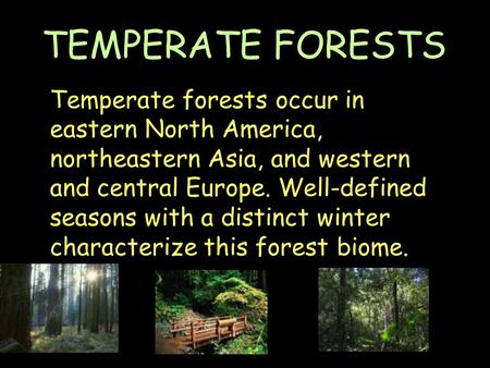 Temperate forests occur in eastern North America, northeastern Asia, and western and central Europe. Well-defined seasons with a distinct winter characterize.