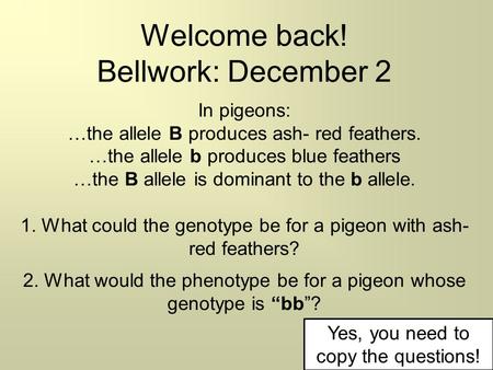 Welcome back! Bellwork: December 2 In pigeons: …the allele B produces ash- red feathers. …the allele b produces blue feathers …the B allele is dominant.