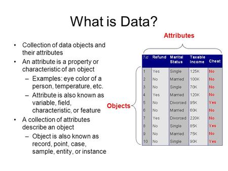 What is Data? Attributes
