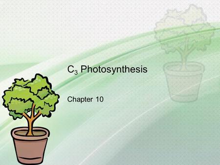 C 3 Photosynthesis Chapter 10. What you need to know! How photosystems convert solar energy to chemical energy. How linear electron flow in the light.