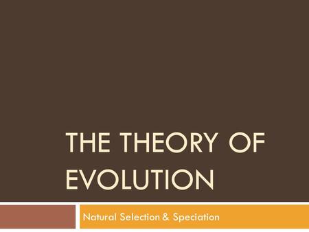 THE THEORY OF EVOLUTION Natural Selection & Speciation.