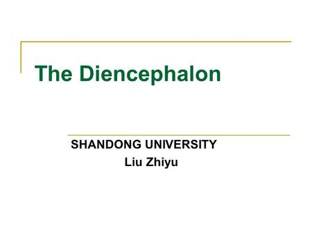 The Diencephalon SHANDONG UNIVERSITY Liu Zhiyu. Position of Diencephalon Position: Lies between midbrain and cerebrum, almost entirely surrounded by cerebral.