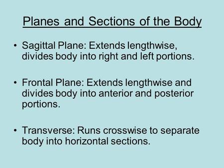 Planes and Sections of the Body Sagittal Plane: Extends lengthwise, divides body into right and left portions. Frontal Plane: Extends lengthwise and divides.