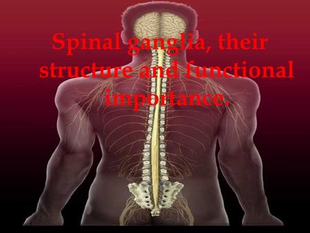 Spinal ganglia, their structure and functional importance.