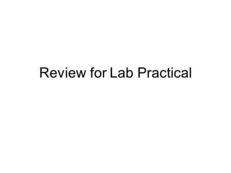 Review for Lab Practical. Sea Star C E D B A Frog Mouth A E D C B.