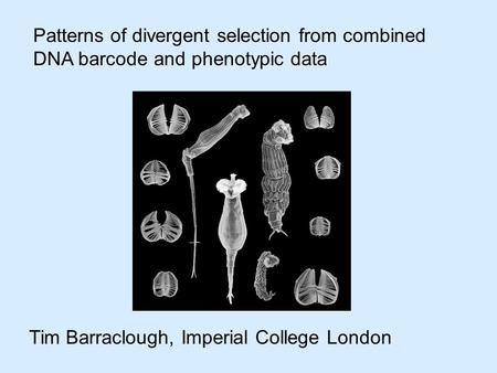 Patterns of divergent selection from combined DNA barcode and phenotypic data Tim Barraclough, Imperial College London.
