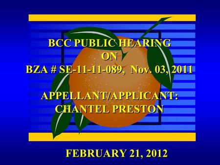 FEBRUARY 21, 2012 BCC PUBLIC HEARING ON BZA # SE-11-11-089, Nov. 03, 2011 APPELLANT/APPLICANT: CHANTEL PRESTON.