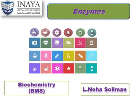Enzymes Objectives  Flow of energy through life.  Metabolism meaning.  Chemical reactions & energy.  Activation energy meaning.  Catalyst meaning.