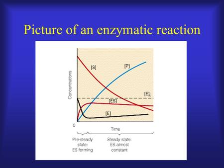 Picture of an enzymatic reaction. Velocity =  P/  t or -  S/  t Product Time.