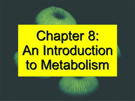 Chapter 8: An Introduction to Metabolism