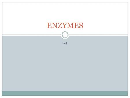 1.4 ENZYMES. Enzyme are _________________ catalysts.  Either tertiary or quaternary.  Names ususually end in ‘ase.’ CATALYST: substance that _____________.