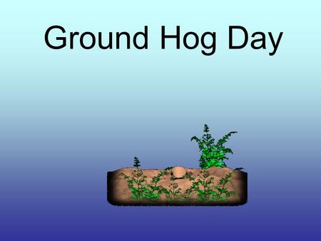 Ground Hog Day. What is a Groundhog A groundhog, is also known as a woodchuck a member of the squirrel family. Shape- –Color: black-footed, –reddish-brown.