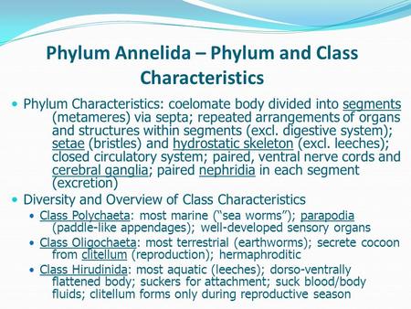 Phylum Annelida – Phylum and Class Characteristics