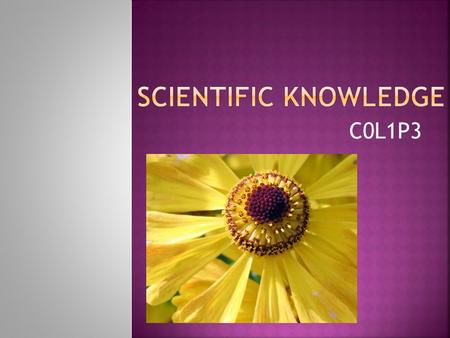 C0L1P3. How can I distinguish the similarities and differences of scientific theory and scientific law?