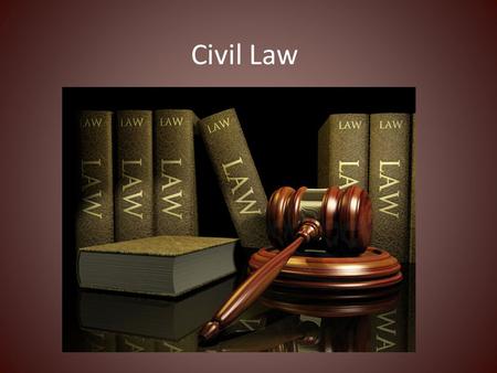 Civil Law. Law that governs private property, contracts and disputes involving individuals and businesses.