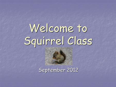 Welcome to Squirrel Class September 2012. Staff Miss G Yaxley – class teacher SENCO (job share) SENCO (job share) Mrs C Harty – teaching assistant. Mrs.