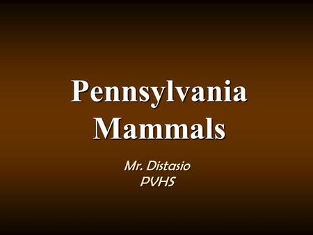 Pennsylvania Mammals Mr. Distasio PVHS Mammal Characteristics – Introductory video.