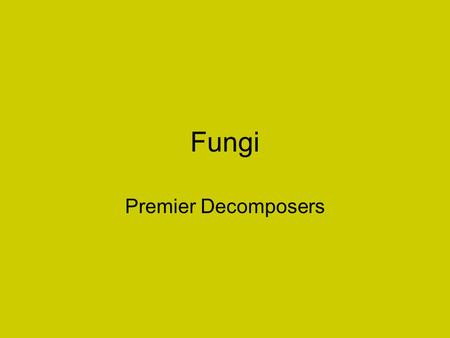 Fungi Premier Decomposers Fungi Characteristics Heterotrophic Secrete digestive enzymes on organic material and then absorb it Extracellular digestion.