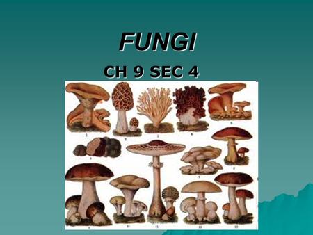 FUNGI CH 9 SEC 4 GOAL/PURPOSE  AFTER COMPLETING THE LESSON, STUDENTS WILL BE ABLE TO  NAME THE CHARACTERISTICS FUNGI SHARE  EXPLAIN HOW FUNGI REPRODUCE.