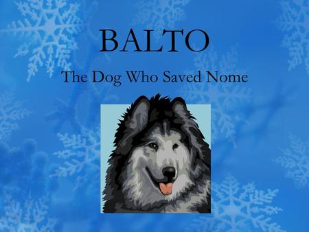 BALTO The Dog Who Saved Nome. The __________ were very thin and sharp. a.temperature b.splinters c.trail d.guided.