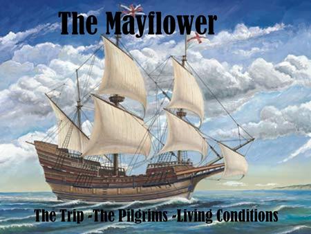 The Mayflower The Trip -The Pilgrims -Living Conditions.