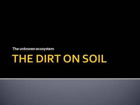 The unknown ecosystem.  What is soil? What is it made of? Where do we get if from? What is your “definition” of soil.