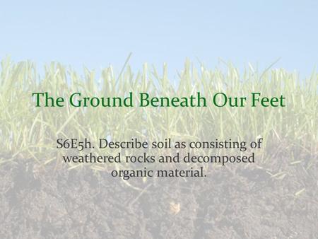 The Ground Beneath Our Feet