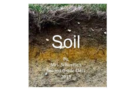 Soil By, Mrs. Schuette’s Second Grade Class 2013.