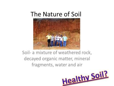 Healthy Soil? The Nature of Soil