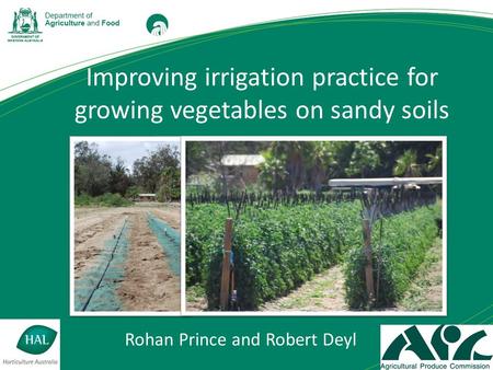 Improving irrigation practice for growing vegetables on sandy soils Rohan Prince and Robert Deyl.