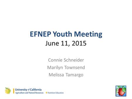 EFNEP Youth Meeting June 11, 2015 Connie Schneider Marilyn Townsend Melissa Tamargo.