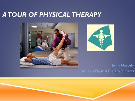 A TOUR OF PHYSICAL THERAPY Jenny Morcelo Aspiring Physical Therapy Students.