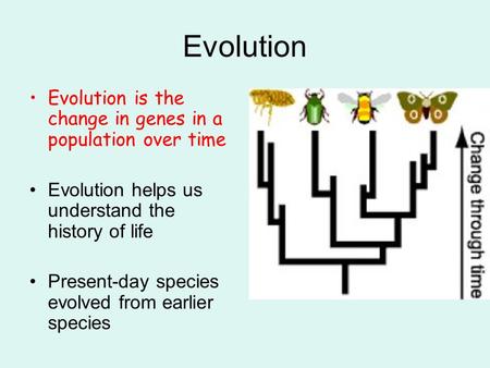 Evolution Evolution is the change in genes in a population over time Evolution helps us understand the history of life Present-day species evolved from.
