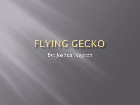 By: Joshua Negron.  The Flying Gecko lives in wet forests in Southeastern Asia.