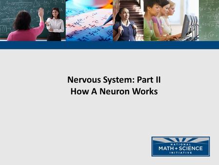Nervous System: Part II How A Neuron Works. Animals have nervous systems that detect external and internal signals, transmit and integrate information,