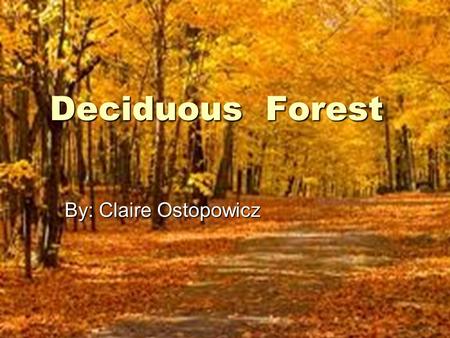 Deciduous Forest By: Claire Ostopowicz.  These forests are found in North America, Europe, and Asia.  The average temperature in deciduous forest is.